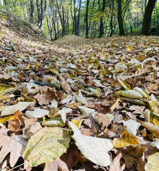 vremea in alba noiembrie prognoza meteo