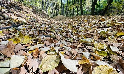 vremea in alba prognoza meteo
