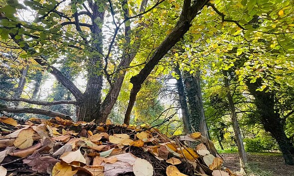 vremea in alba prognoza meteo