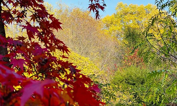 toamna meteo vremea de weekend alba