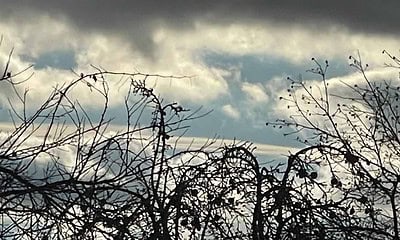 vremea in alba prognoza meteo