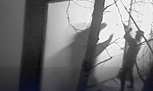 VIDEO: Primele imagini cu momentul jafului