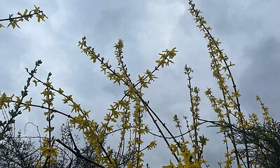 vremea in alba prognoza meteo