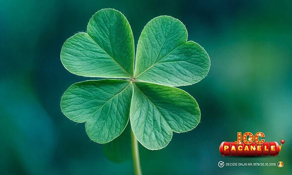 jocuri cu trifoiu jocuri de noroc jocuri pacanele