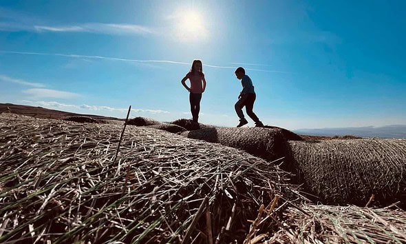 Mesaje de Ziua Fraților și Surorilor Siblings Day