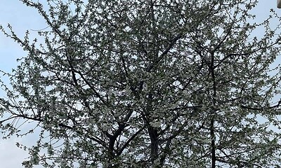 vremea pana de paste