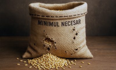 Bugetul de stat e un sac găurit