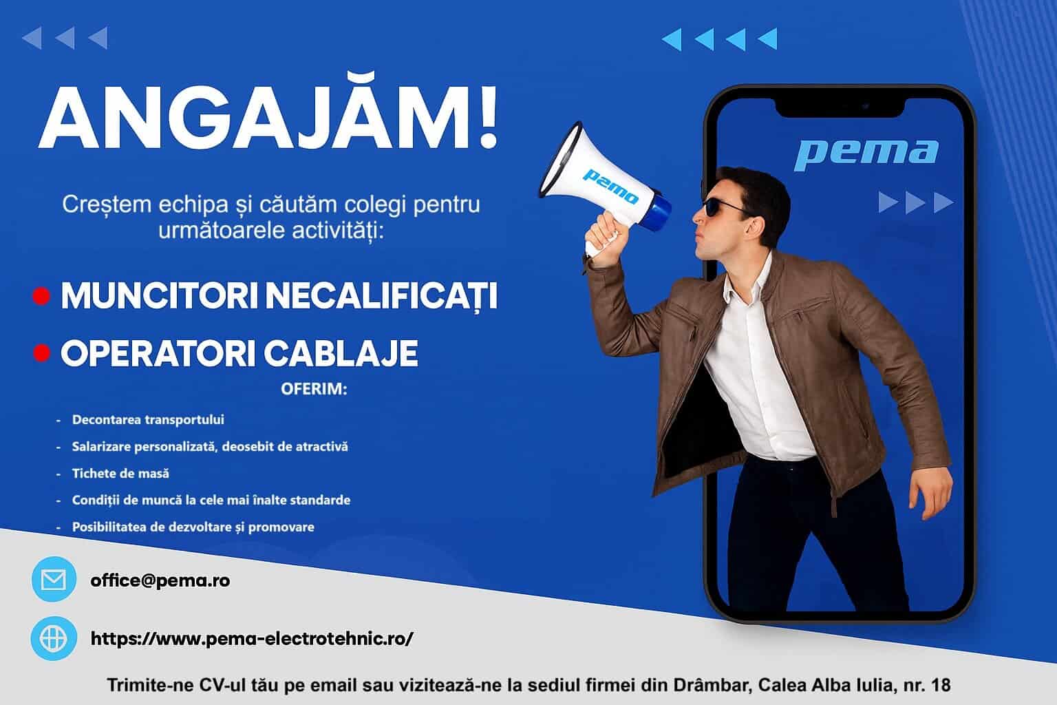 pema electrotehnic anunt angajare