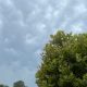 vremea in alba meteo prognoza