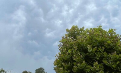 vremea in alba meteo prognoza