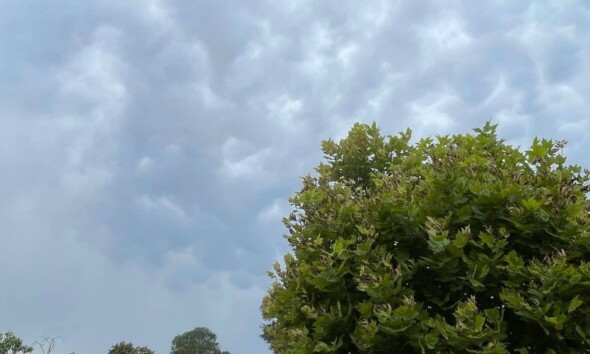 vremea in alba meteo prognoza