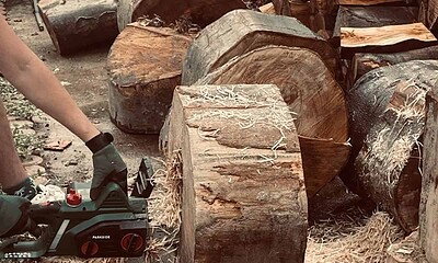 drujba, lemn taiat, motofierastrau, lemn de foc alba24