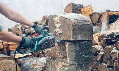 drujba, lemn taiat, motofierastrau, lemn de foc alba24