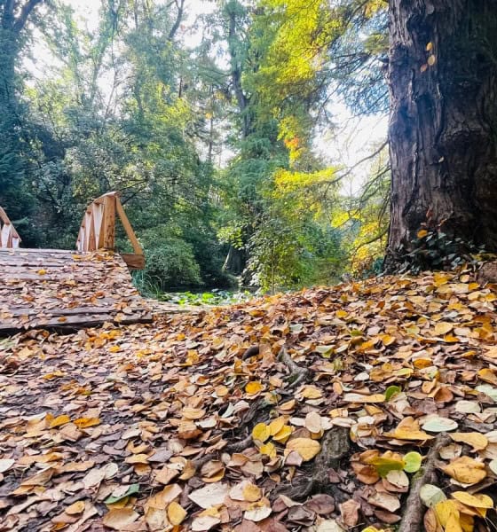 meteo vremea toamna septembrie Alba24
