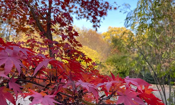 meteo vremea in alba toamna prognoza meteo