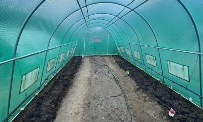 seră solar