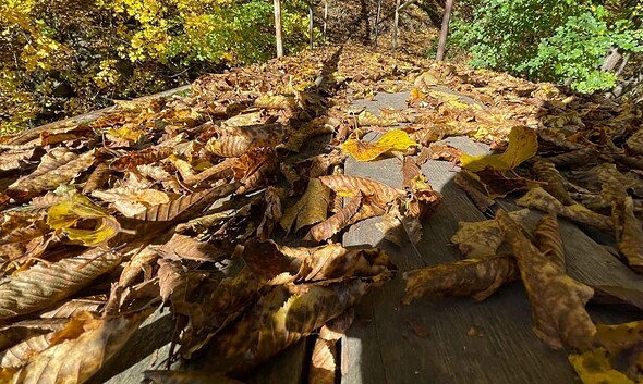 vremea in alba prognoza meteo vreme
