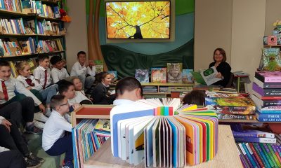 biblioteca din sebes