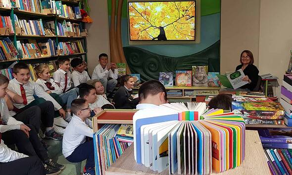 biblioteca din sebes