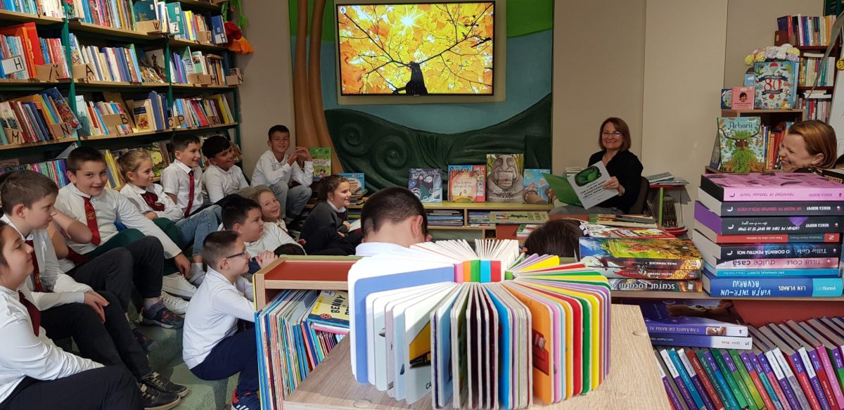 biblioteca din sebes