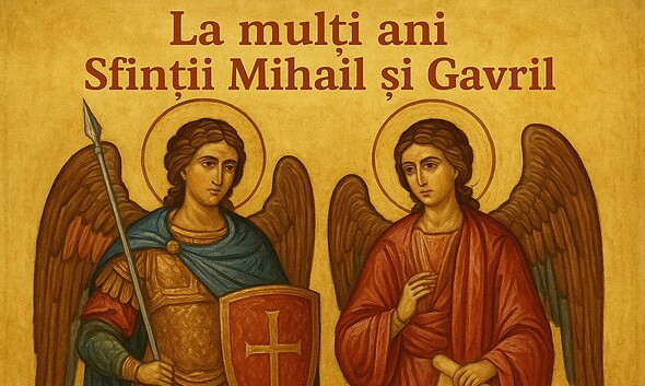 la multi ani de mihail si gavril, poza sora