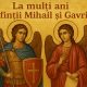 la multi ani de mihail si gavril, poza sora
