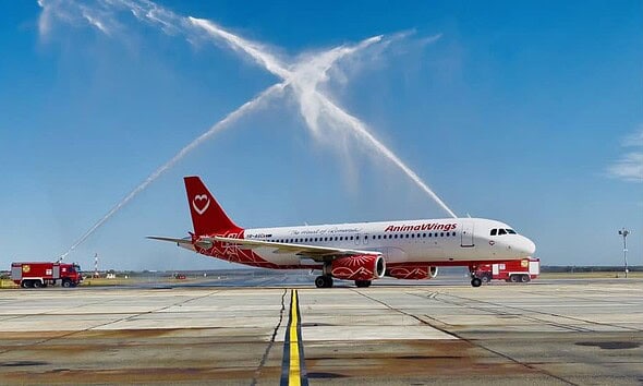 avion
