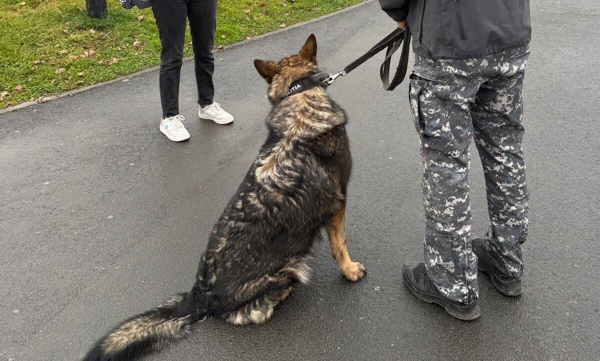 Măsuri MAI la începutul anului școlar 2026-2027: poliție mai vizibilă, controale și prevenirea drogurilor, echipaje canine