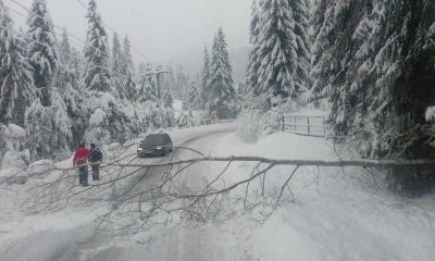 iarna alba drum blocat