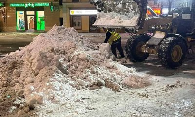 deszapezire utilaje sebes