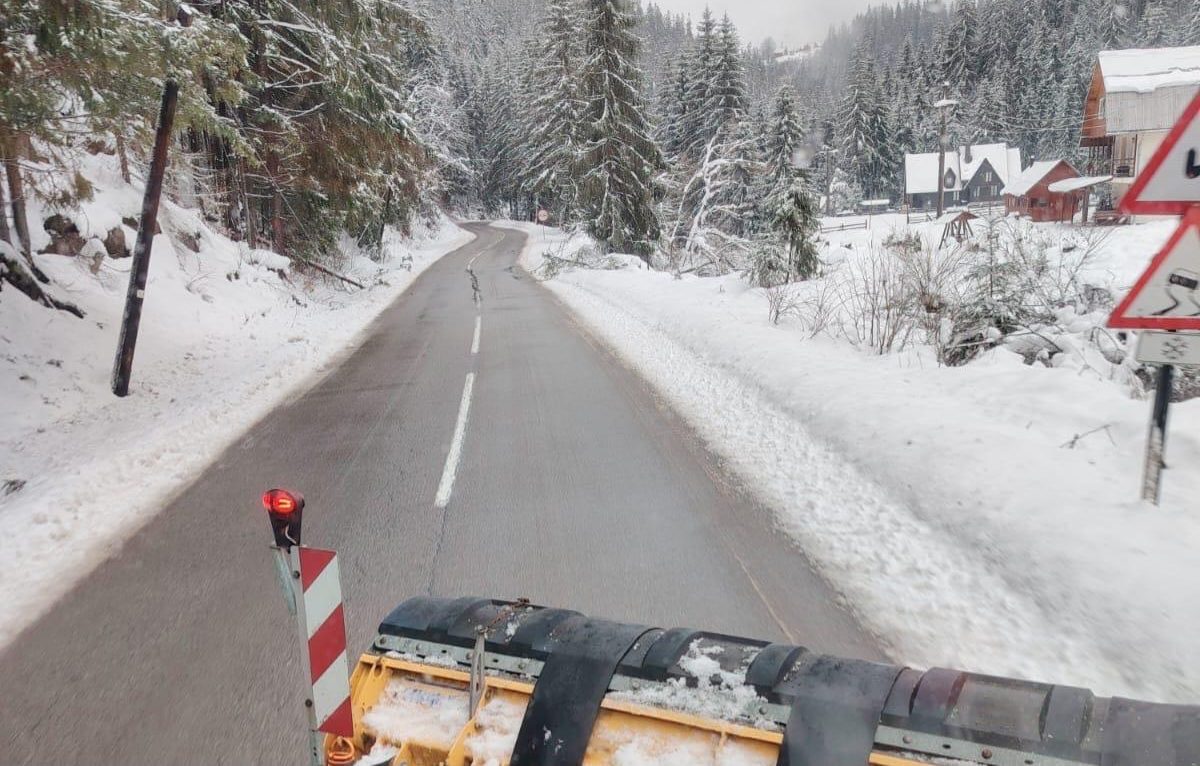 deszapezire drum zapada