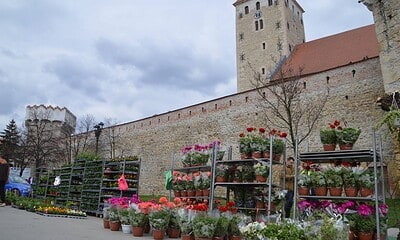 Târg cu flori, arbuști și pomi fructiferi la Alba24 Plant Fest 2026.