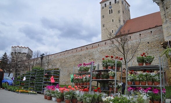 Târg cu flori, arbuști și pomi fructiferi la Alba24 Plant Fest 2026.