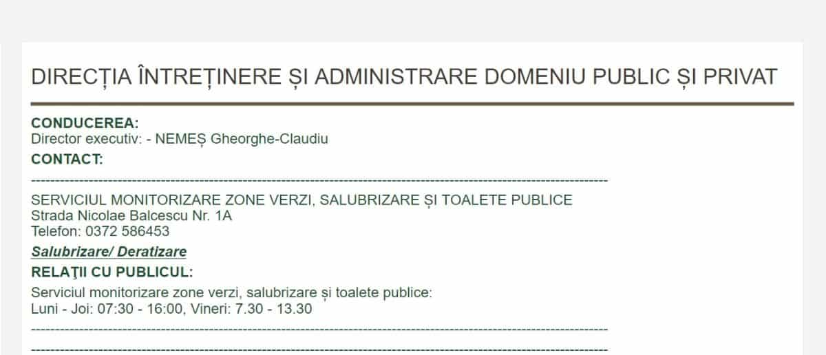 Mizerie pe străzile din Alba Iulia, trotuare și piste de biciclete acoperite de gunoi.