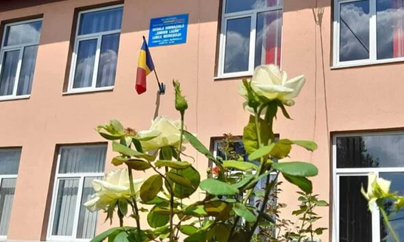 Elevi implicați în acțiuni de ecologizare și plantare de primăvară.