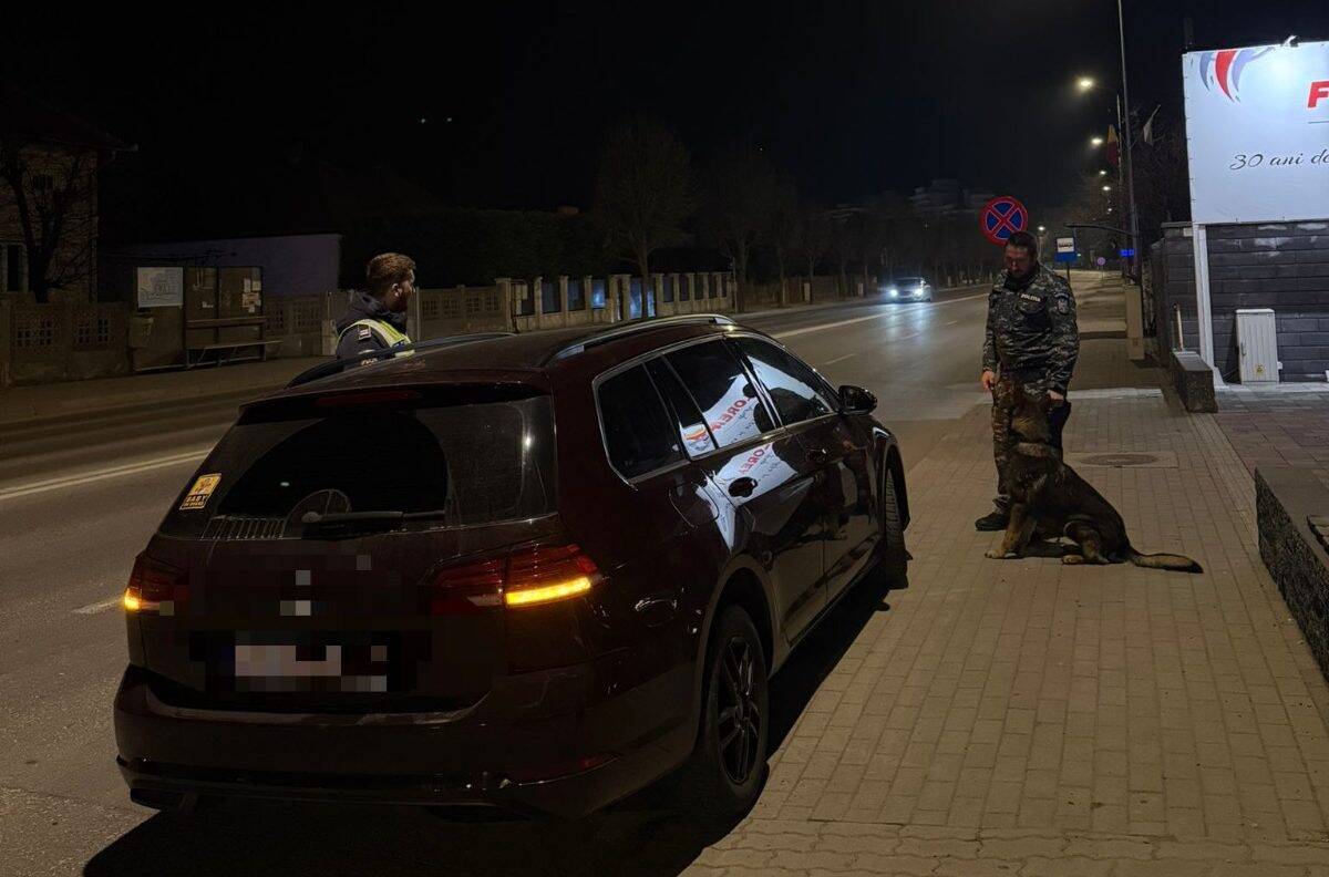 Polițiști și jandarmi verificând documente auto pe stradă noaptea.