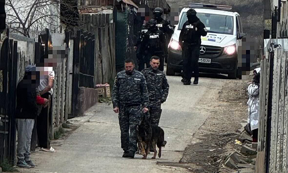 Polițiști în acțiune cu câini, verificări și amenzi în Galda de Jos.