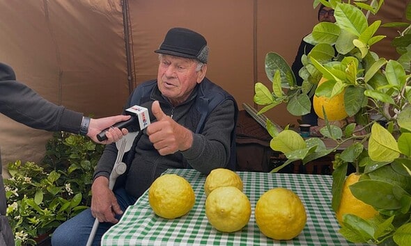 Bărbat explicând secretul lămâilor uriașe de Colțești la târg.