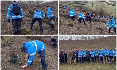 Acțiune de plantare peste 500 de puieți de către jandarmi în comuna Noșlac, promovând protecția medi.
