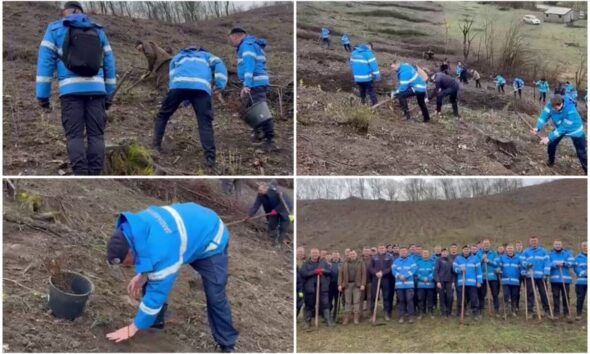 Acțiune de plantare peste 500 de puieți de către jandarmi în comuna Noșlac, promovând protecția medi.