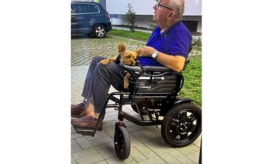 Persoană în scaun cu rotile și câine de companie, într-un mediu urban din Alba Iulia.