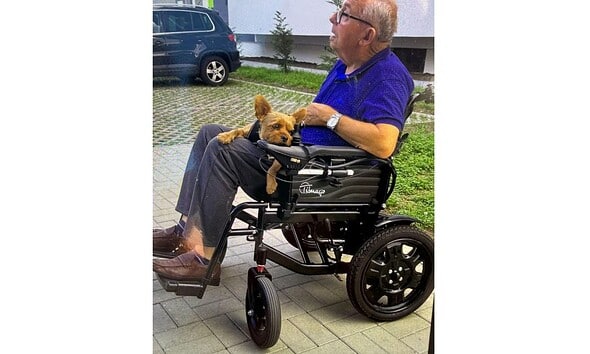 Persoană în scaun cu rotile și câine de companie, într-un mediu urban din Alba Iulia.