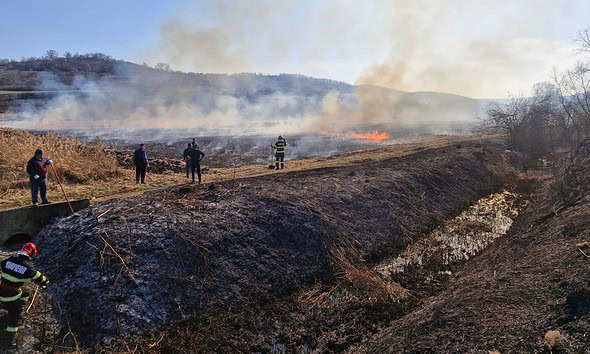 Imagine cu foc de vegetație în Alba, cu pompieri și localnici intervenind pentru stingere.