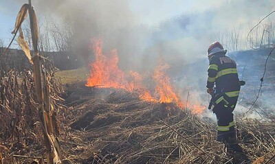 Echipaj de intervenție în pădure în timpul unui incendiu de vegetație.