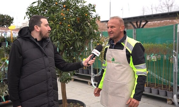Interviu despre întreținerea plantelor mediteraneene, precum kumquat și smochini, la Târgul Grădinar.