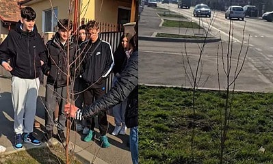 Elevi ai Liceului Agricol din Ciumbrud participă la plantarea de copaci pe o stradă din Aiud.