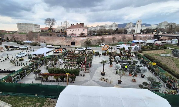 Târg de plante și flori în Alba Iulia, pregătiri pentru primăvară.
