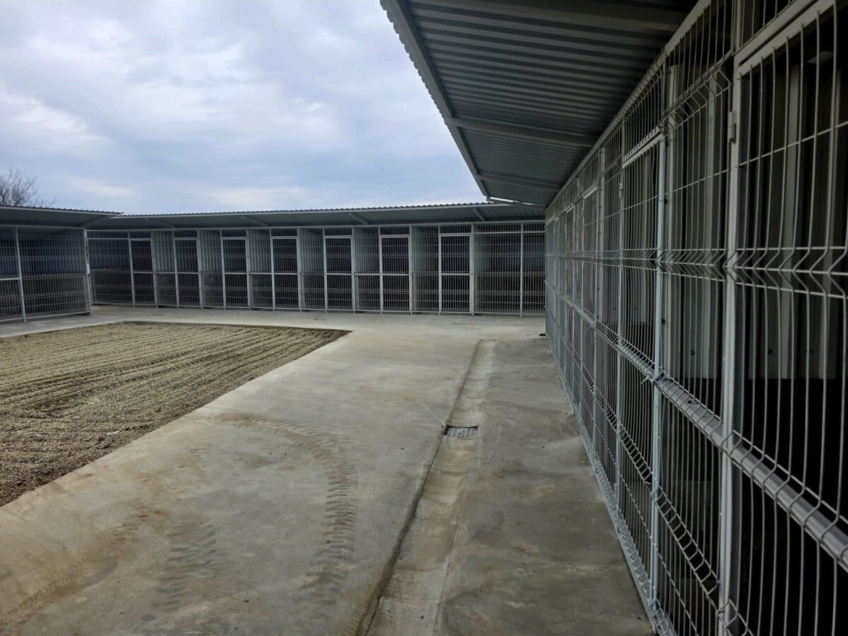 Adăpost pentru câini fără stăpân din Alba Iulia, parte a proiectului de parteneriat între ONG-ul ”Pr.