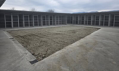 Nou adăpost pentru câini fără stăpân din Alba Iulia, construit cu parteneriat între ONG și primărie.