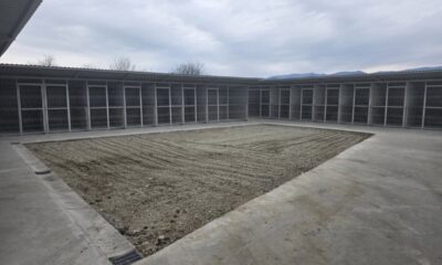 Nou adăpost pentru câini fără stăpân din Alba Iulia, construit cu parteneriat între ONG și primărie.